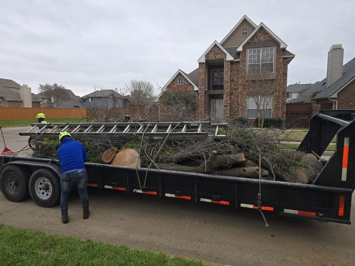 Expert Tree Pest Control with proper safety equipment in Pelham